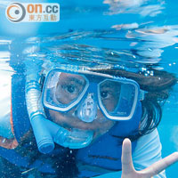 關島海域蘊藏豐富海洋生物，水性較強的同學可獲安排潛水，飽覽海洋世界。