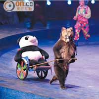每次有動物出場，都逗得現場觀眾開心大笑，尤其是這隻「拉熊貓的棕熊」。