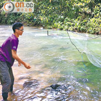在雨林裏，肚子餓要自己動手到溪中打魚才能得到食物。