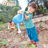 生態視點<br>營地採取「不留痕迹」環保計劃，營內的廚餘及土壤垃圾均會加工成有機肥料，用來種植羅勒、迷迭香等植物。