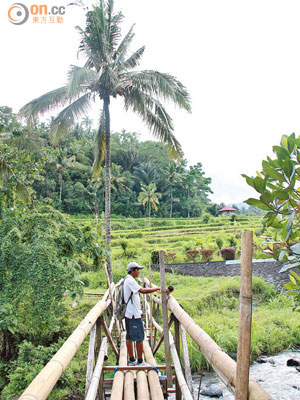 起點Kastala村的橋樑由竹建成，原始味十足。