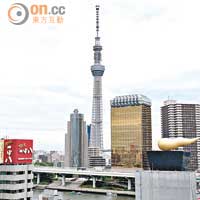 新東京景點，少不了這塔的份兒。