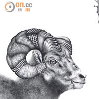 《Capricorn》：山羊跟測速器並存，是在暗喻時間的流逝嗎？