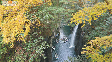 泛舟於五瀨川上，除了有紅葉景色外，尚有瀑布和鴨子追逐，恍如置身仙境。
