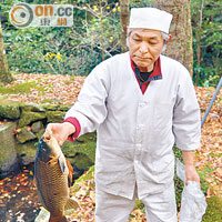 原來五瀨川的水養魚亦是一流，鄰近餐廳有廚師來此網走大魚炮製大餐。