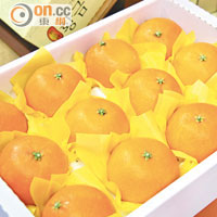 濟州盛產柑橘，早於三國時代，更是獻給皇帝的貢品。