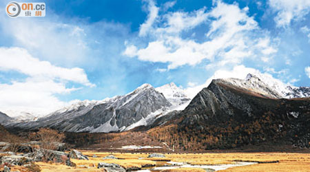 藍天雪山大草原，加上野生動物，果然是一片純淨無染的土地。