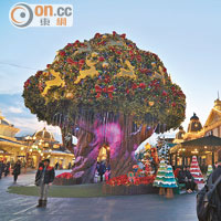 浪漫必影位<br>巨大聖誕樹：樂園最巨型的聖誕樹，從不同角度拍都靚。