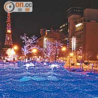 日本的聖誕期間，哪裏都可看到3D的燈飾裝置。