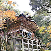 依山岩而建的大悲閣，屬日本國寶級建築。