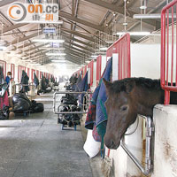 馬會興建的公眾騎術學校，除每年獲馬會慈善信託基金捐助營運經費外，更由馬會負責管理。
