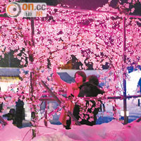 桃花園的燈光紅粉緋緋，是情侶拍照的勝地。
