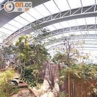 熊貓館刻意打造出山明水秀的優美環境，讓兩隻國寶住得舒適。