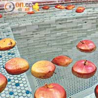 千秋閣設有蘋果溫泉，能滋潤肌膚。