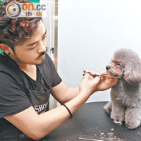 除服飾外，店舖也有寵物護理服務提供，並邀得曾往台灣學藝的專業美容師Edgar「親自操刀」。