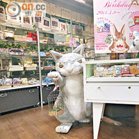 有不少女粉絲的達洋貓，是店內的人氣主角之一。
