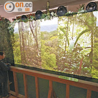 體感Theatre有多種裝置，讓你感受熱帶雨林內的氣候。