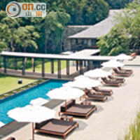 泳池面向河邊，一排排的Sun Bed是酒店內最受歡迎的攤抖位置。