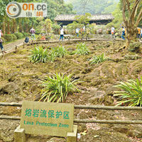 海口雷瓊海口火山群世界地質公園內的熔岩流保護區，令同學們見識到奇特的火山地貌。