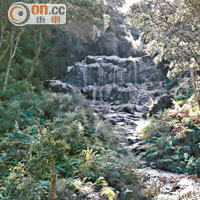 被綠意盎然環境包圍的溫泉瀑布，相傳昔日的毛利人戰士愛在這裏沐浴療傷。
