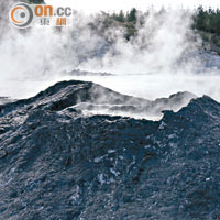 地熱公園內有唯一一座泥火山，會定期爆發噴出熾熱火山泥。