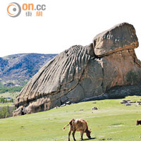 巨龜石形神兼具，是特勒吉國家公園內的著名地標。