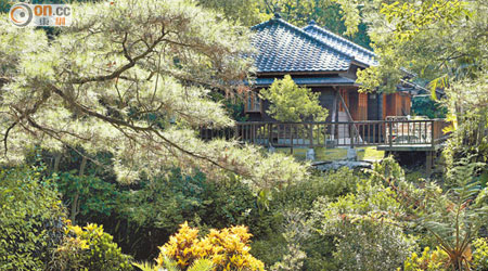 林田山木場自停用後，已發展成一個優美又遺世獨立的林中仙景。
