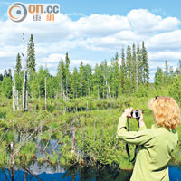 Kuikka與俄羅斯邊境接壤，面積達937平方公里，人口卻只得2,400多人，樹木比人還多。