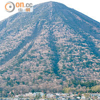 貴為日本百大名山之一的男體山，是兩萬年前爆發形成的死火山，亦是它造就出中禪寺湖。