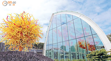 Chihuly最喜愛的巨型「溫室」，「種植」了一束束紅、橙、黃及琥珀色的玻璃花。