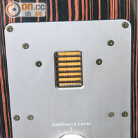 音箱背部設有一組AMT氣動式高音單元，配以Ambience Level音量調節掣作出微調。