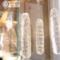 展館內，以玻璃工藝展示Salami如何風乾。