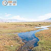 由於得到塔什庫爾干河的冰川水滋養，濕地生態自成一國，跟周圍的景色迥異。