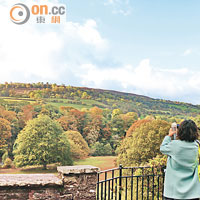 秋天時可於酒店花園內欣賞到滿山紅葉。