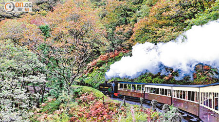 The Vale of Rheidol Railway全長20公里，起初用來運載建築物料，因沿途風景優美，二戰後轉營為觀光列車。