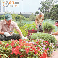 園藝治療可讓患者發揮創意，提升表達力及專注力。