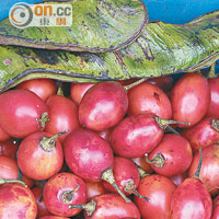 南美常見的樹番茄，味道是番茄及杏桃的混合體。
