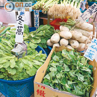 冬萵、地瓜菜都是台灣較常見的蔬菜種類。