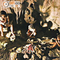 龍泉新洞科學館內展示了很多人類及動物在洞中生活的痕迹。