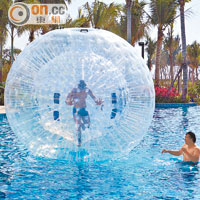 大人也可以玩至得意忘形，泳池有巨型吹氣球，每次可以2人入內玩水上滾球。
