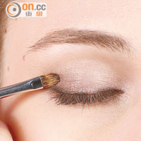 Steps<br>i.在整個眼窩掃上啡色眼影，可於眼尾1/3範圍掃上深啡色眼影作漸變。