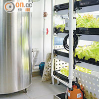 種植水耕菜的溫室有24小時自動系統監測，確保蔬菜可以茁壯成長。