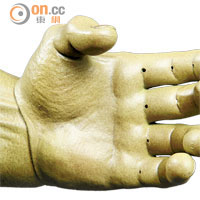鐵線手掌的指頭可以屈曲，以便擺出不同造型。