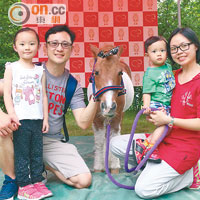 想跟可愛的雪特蘭小馬影相？只須捐款$20，就能成事，籌得款項將撥捐香港傷健策騎協會。