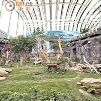 約330平方米的室內活動區，設計貼近大熊貓的自然生活環境。
