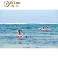 Resort提供Canoe、Kayak及Stand Paddling 3種水上活動。