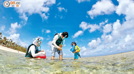 關島北面的Coco Palm Garden Beach水清又多生物，是一家大細家庭樂的好地方。