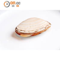 九州最多產的皿貝，是盛夏季節中最為肥厚的貝殼類，味道鮮甜又富海水味。