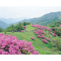 韓國智異山國立公園