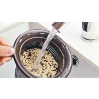Step 4<br>經過12小時後，糙米將會長出1毫米嫩芽，用清水洗淨即可煲來吃。